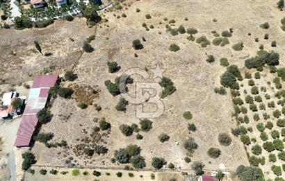 Urla Bademler’de 9.780 m² Yol ve Yerleşime Yakın Satılık Tarla