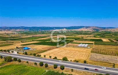 CB EAGLE'DAN GÖKÇEYAZI'DA ANAYOLA 70 METRE MESAFEDE SATILIK TARLA