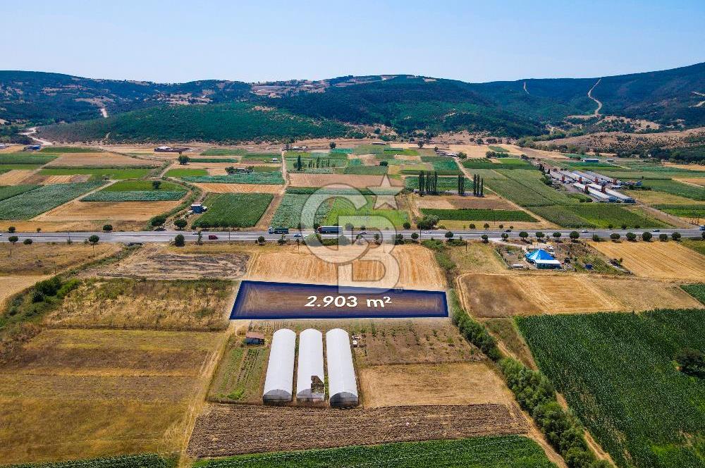 CB EAGLE'DAN GÖKÇEYAZI'DA ANAYOLA 70 METRE MESAFEDE SATILIK TARLA