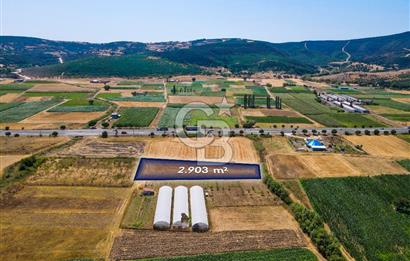 CB EAGLE'DAN GÖKÇEYAZI'DA ANAYOLA 70 METRE MESAFEDE SATILIK TARLA