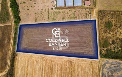 CB EAGLE'DAN GÖKÇEYAZI'DA ANAYOLA 70 METRE MESAFEDE SATILIK TARLA