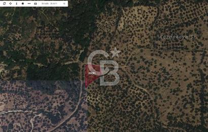 Çanakkale Ayvacık Ahmetçe Köyüne Yakın Satılık Zeytinlik