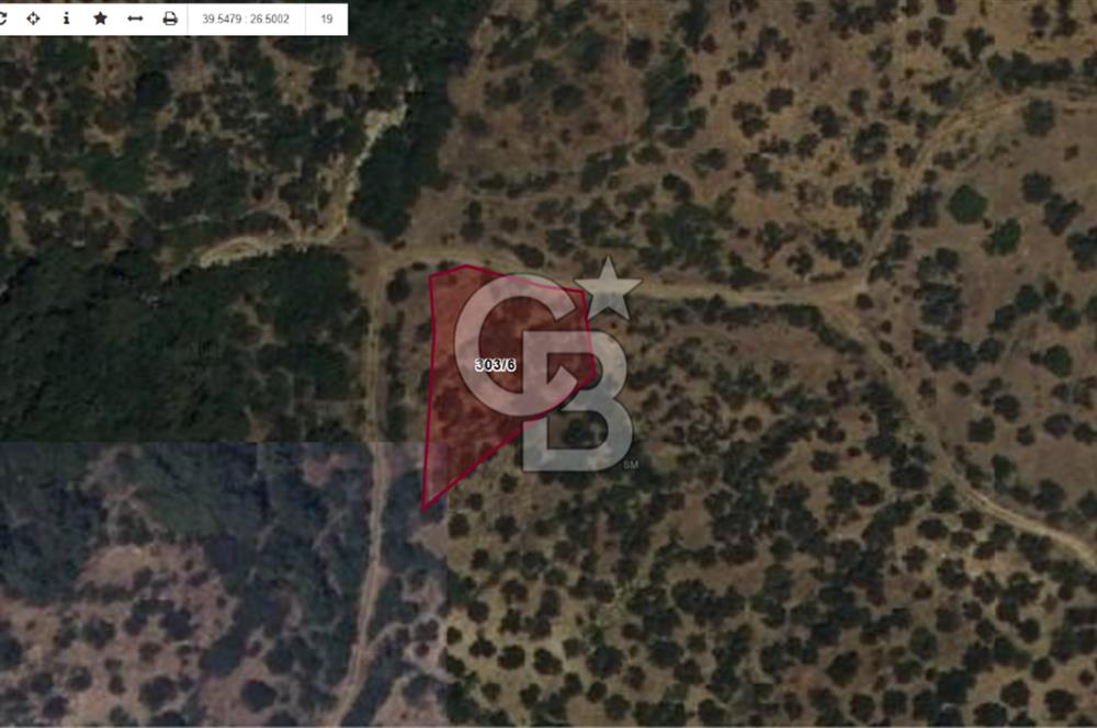 Çanakkale Ayvacık Ahmetçe Köyüne Yakın Satılık Zeytinlik