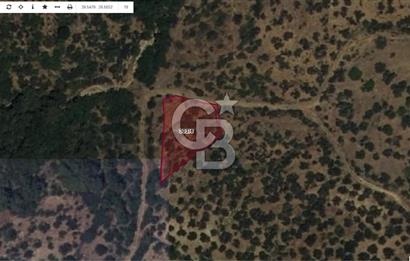 Çanakkale Ayvacık Ahmetçe Köyüne Yakın Satılık Zeytinlik