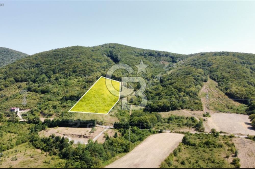Hendek Beylice'de 9200 m²'lik Yatırım Fırsatı