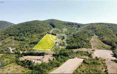Hendek Beylice'de 9200 m²'lik Yatırım Fırsatı