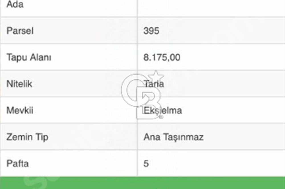 BİGA SARISIVAT KÖYÜ SATILIK TARLA 