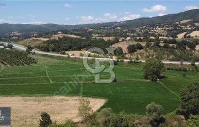 BİGA ÇAN YOLU ASVALT CEPHELİ SATILIK TARLA