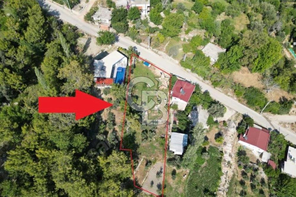CB GİZDEN İSLAMLARDA ARSA 