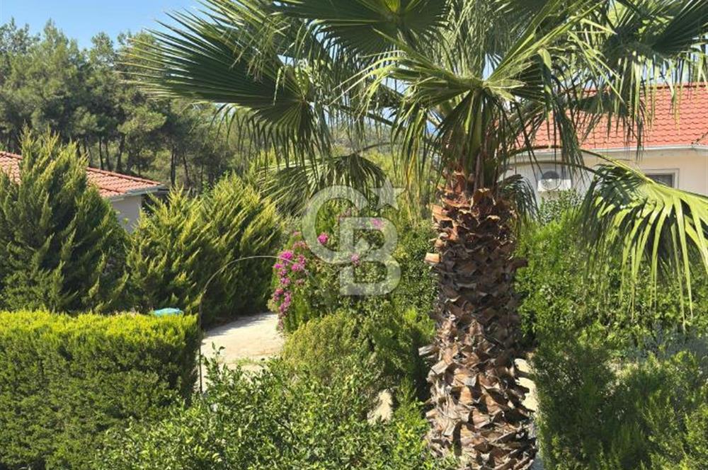 CB GİZDEN PATARADA 4+1 MÜSTAKİL EV 