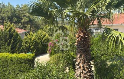 CB GİZDEN PATARADA 4+1 MÜSTAKİL EV 