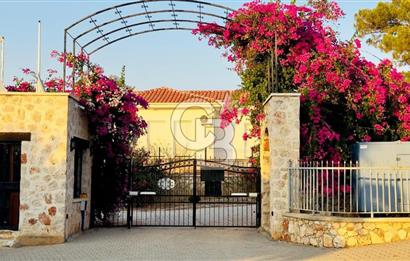 CB GİZDEN PATARADA 4+1 MÜSTAKİL EV 