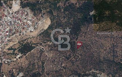 Çanakkale Ayvacık Ahmetçe Köyüne Yakın Satılık Zeytinlik