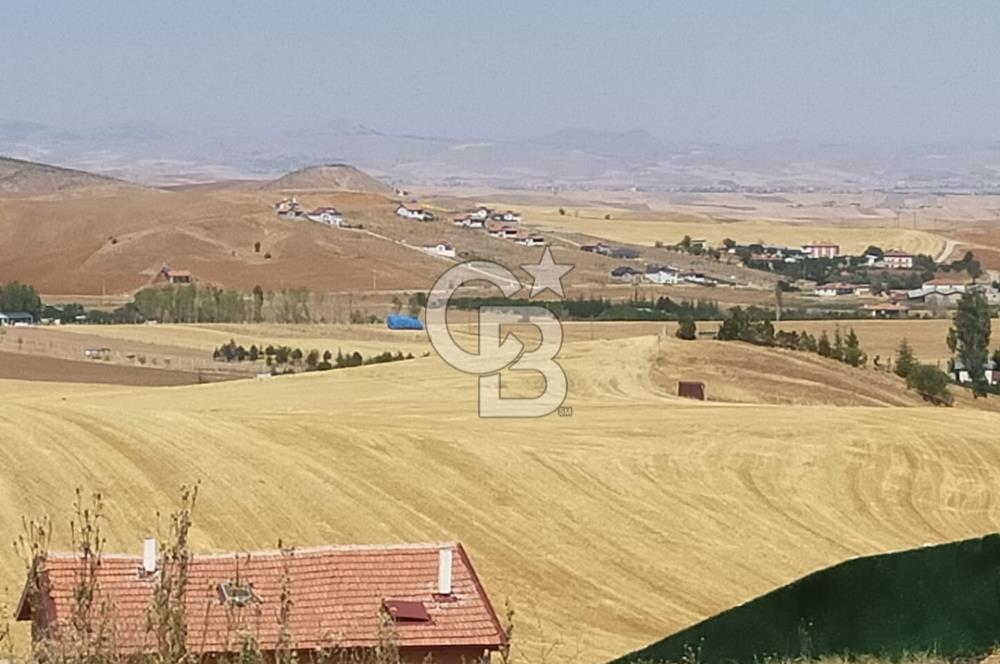 PURSAKLAR KÖSRELİK KIZIĞI KOOPERATİF HİSSESİ SATILIK