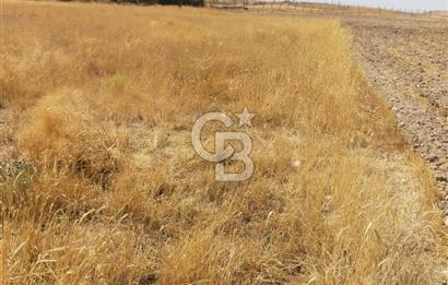ANKARA GÖLBAŞINDA MAHMATLIBAHÇE DE 2506 m2 SATILIK TARLA