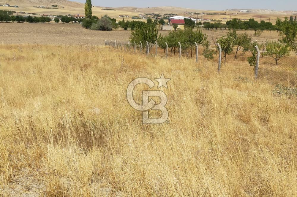 ANKARA GÖLBAŞINDA MAHMATLIBAHÇE DE 2506 m2 SATILIK TARLA