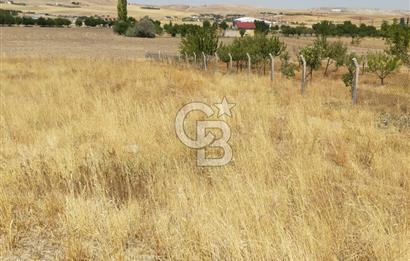 ANKARA GÖLBAŞINDA MAHMATLIBAHÇE DE 2506 m2 SATILIK TARLA