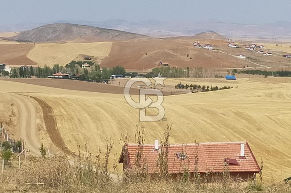 PURSAKLAR KÖSRELİK KIZIĞI KOOPERATİF HİSSESİ SATILIK