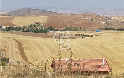 PURSAKLAR KÖSRELİK KIZIĞI KOOPERATİF HİSSESİ SATILIK