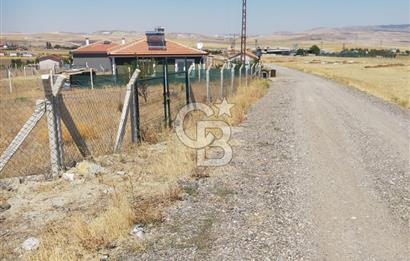 ANKARA GÖLBAŞI SOĞULCAK'TA KÖYE YAKIN TARLA FIRSATI