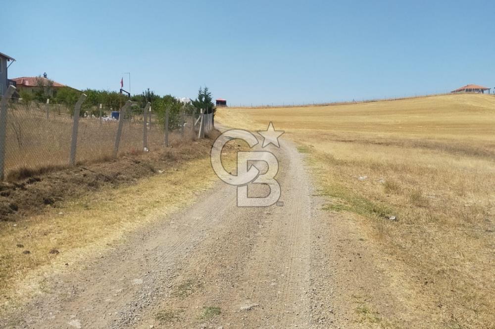 PURSAKLAR KÖSRELİK KIZIĞI KOOPERATİF HİSSESİ SATILIK
