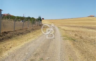 PURSAKLAR KÖSRELİK KIZIĞI KOOPERATİF HİSSESİ SATILIK