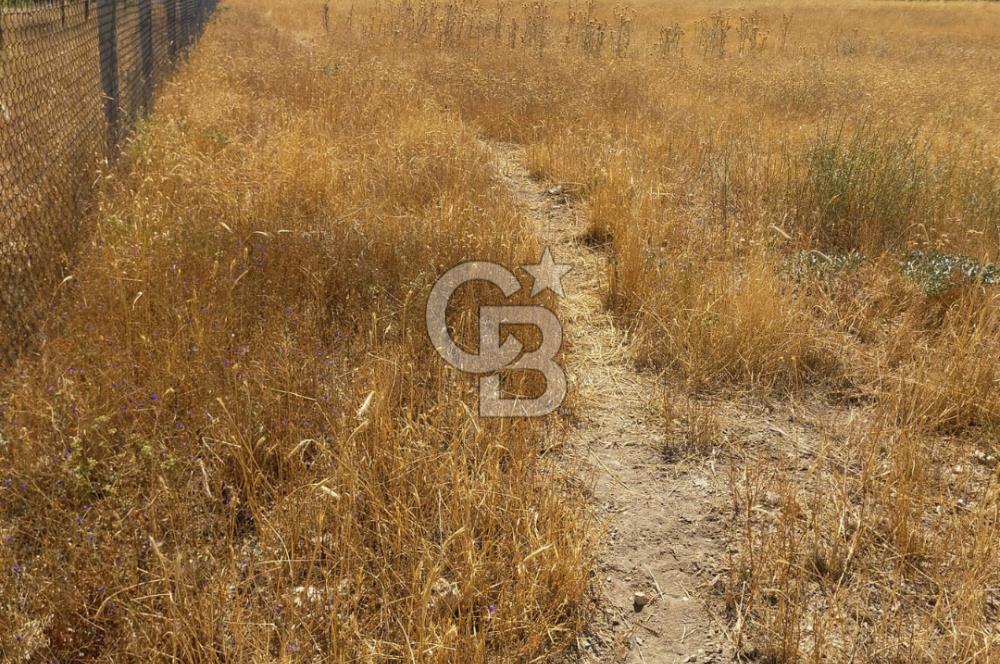 ANKARA GÖLBAŞINDA MAHMATLIBAHÇE DE 2506 m2 SATILIK TARLA