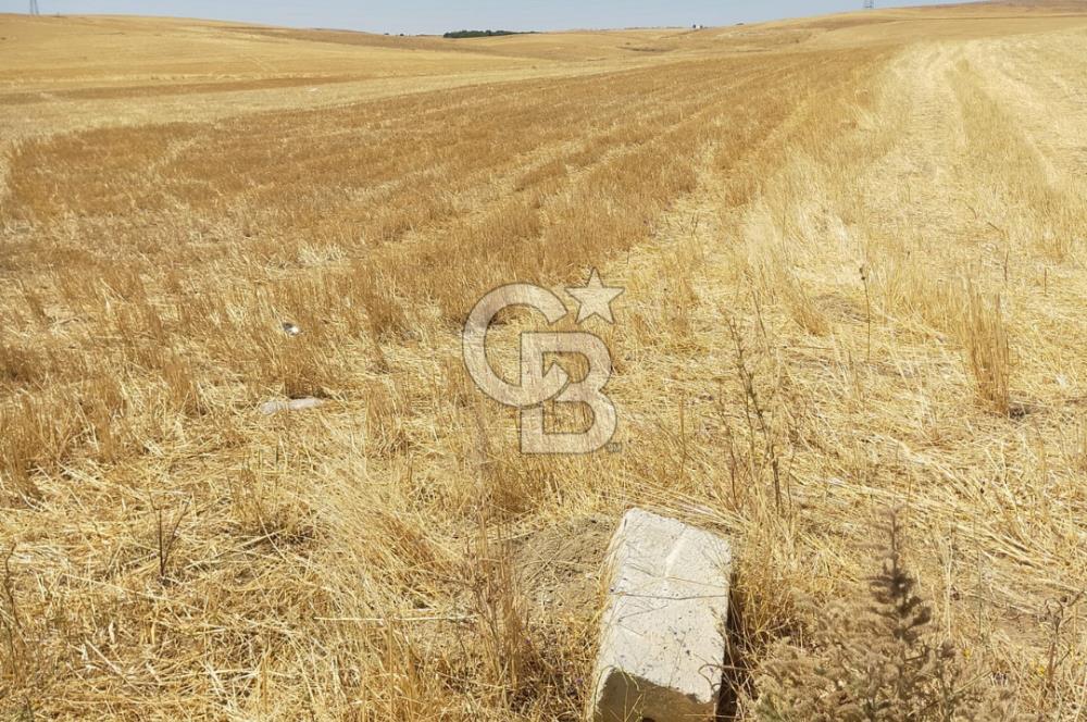 GÖLBAŞI BEZİRHANE MAHALLESİ'NDE SATILIK 385 M2 FIRSAT TARLA