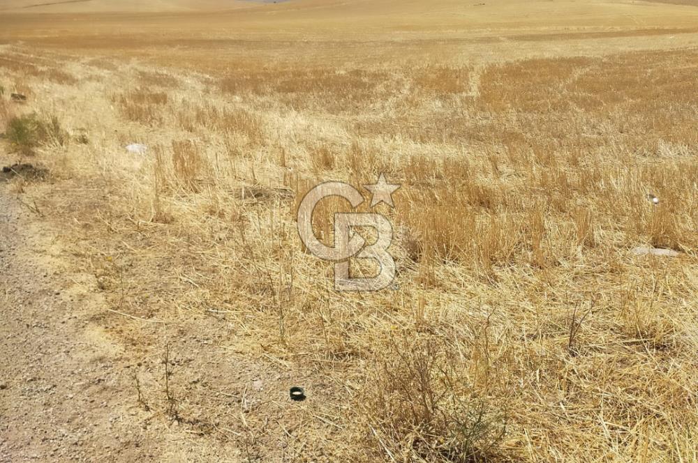 GÖLBAŞI BEZİRHANE MAHALLESİ'NDE SATILIK 385 M2 FIRSAT TARLA