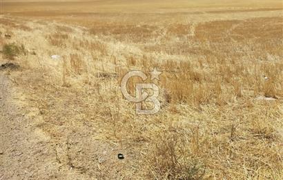 GÖLBAŞI BEZİRHANE MAHALLESİ'NDE SATILIK 385 M2 FIRSAT TARLA