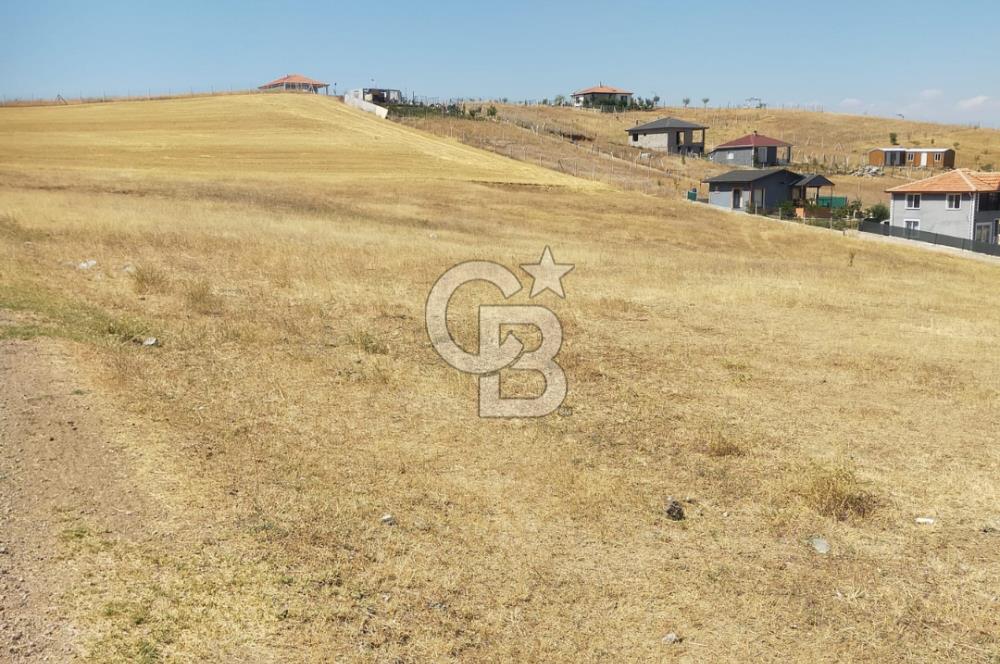 PURSAKLAR KÖSRELİK KIZIĞI KOOPERATİF HİSSESİ SATILIK