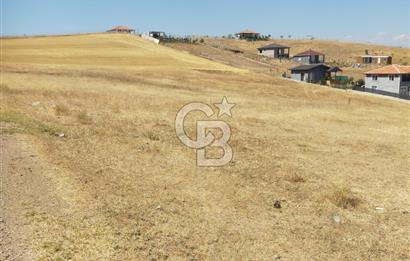 PURSAKLAR KÖSRELİK KIZIĞI KOOPERATİF HİSSESİ SATILIK