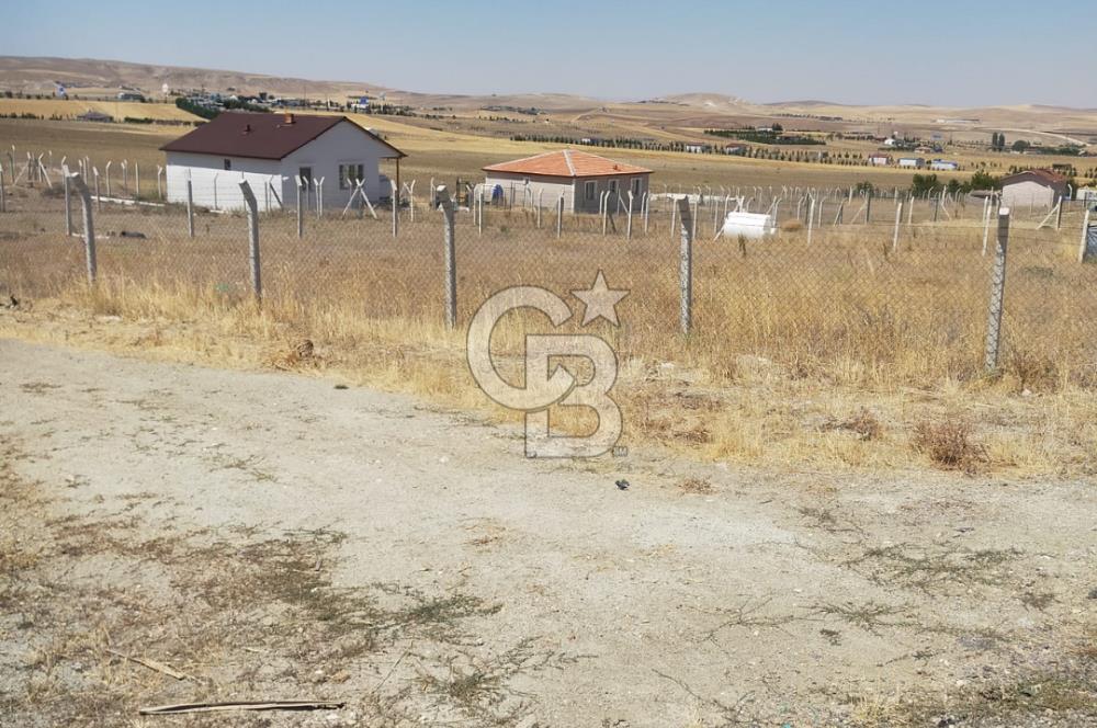 ANKARA GÖLBAŞI SOĞULCAK'TA KÖYE YAKIN TARLA FIRSATI