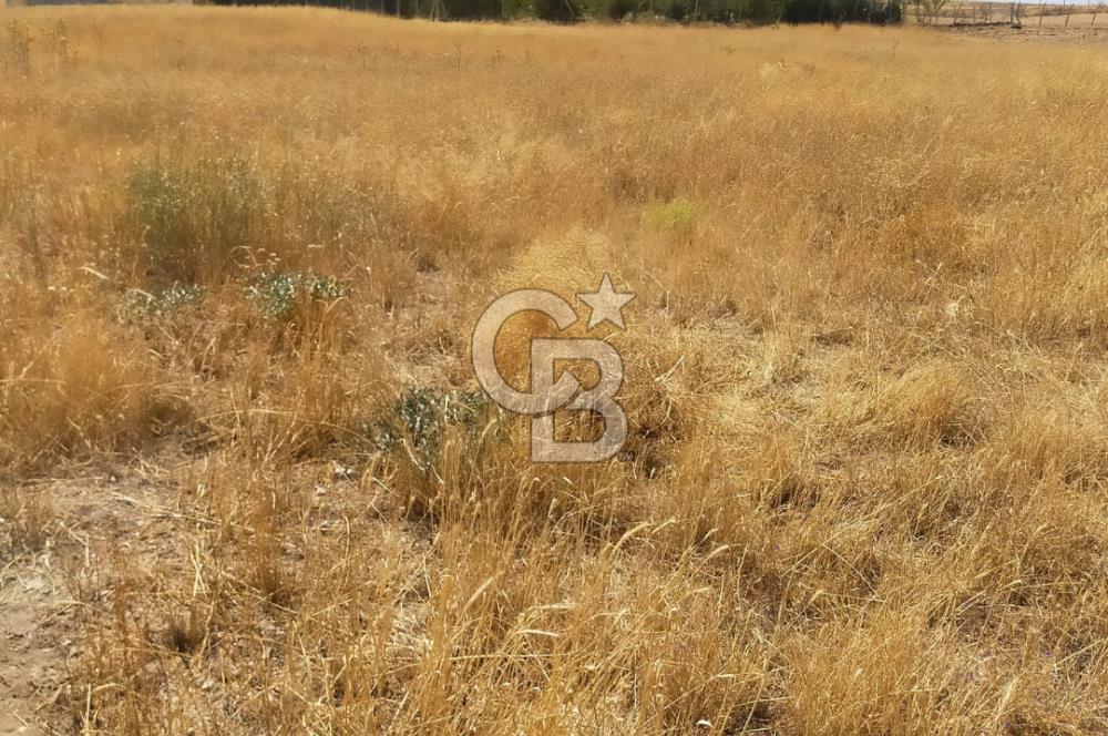 ANKARA GÖLBAŞINDA MAHMATLIBAHÇE DE 2506 m2 SATILIK TARLA