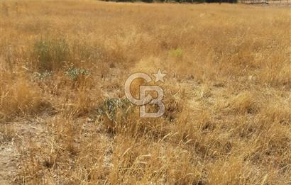 ANKARA GÖLBAŞINDA MAHMATLIBAHÇE DE 2506 m2 SATILIK TARLA