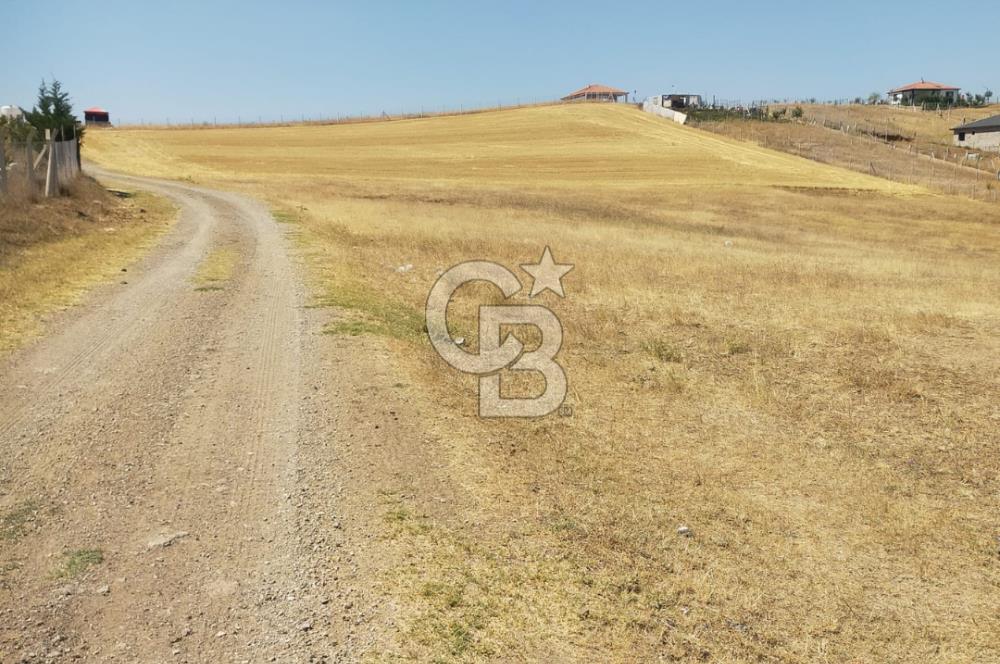 PURSAKLAR KÖSRELİK KIZIĞI KOOPERATİF HİSSESİ SATILIK
