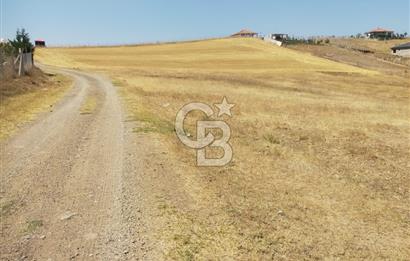 PURSAKLAR KÖSRELİK KIZIĞI KOOPERATİF HİSSESİ SATILIK
