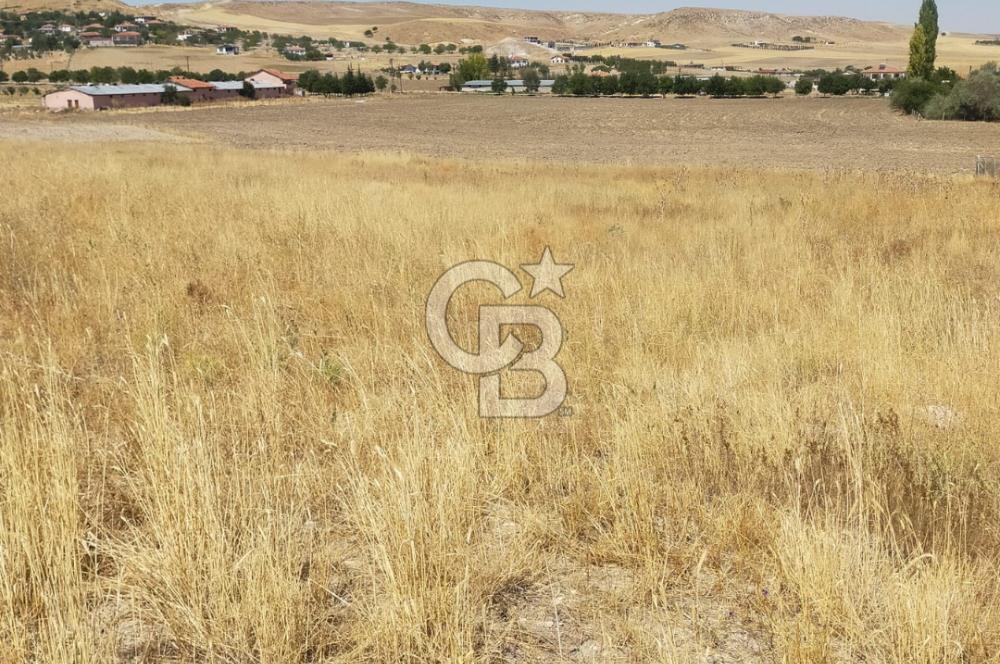 ANKARA GÖLBAŞINDA MAHMATLIBAHÇE DE 2506 m2 SATILIK TARLA