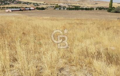 ANKARA GÖLBAŞINDA MAHMATLIBAHÇE DE 2506 m2 SATILIK TARLA