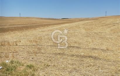 GÖLBAŞI BEZİRHANE MAHALLESİ'NDE SATILIK 385 M2 FIRSAT TARLA