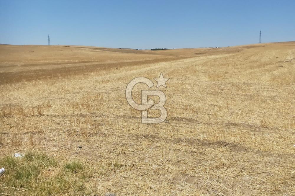  GÖLBAŞI BEZİRHANE MAHALLESİ'NDE FIRSAT TARLA