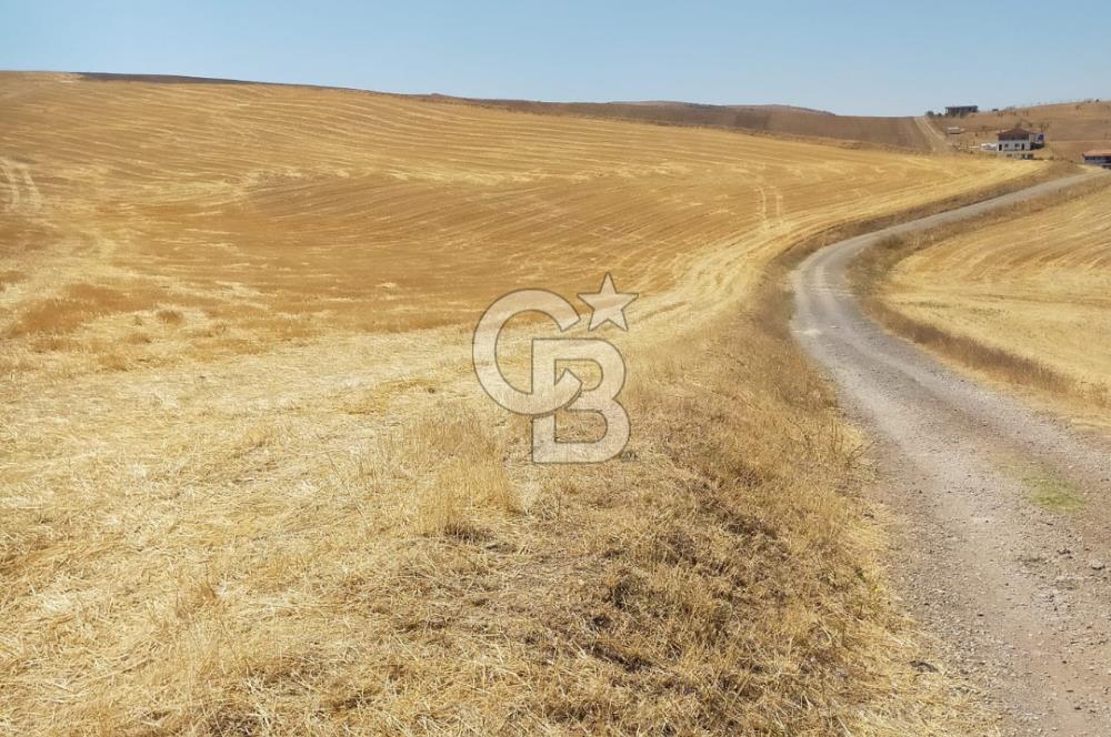 PURSAKLAR KÖSRELİK KIZIĞI KOOPERATİF HİSSESİ SATILIK
