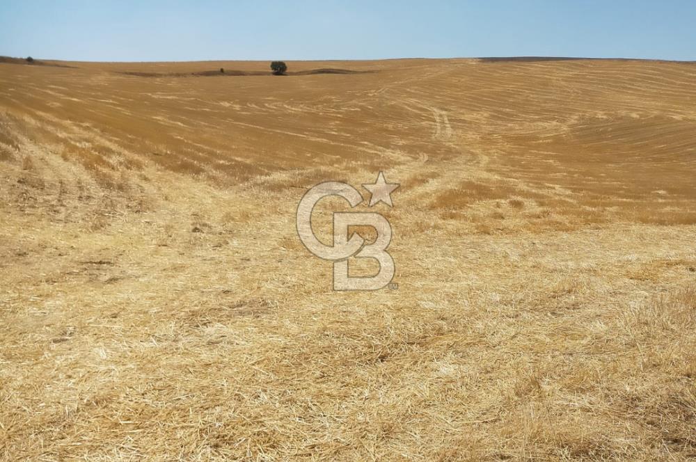 PURSAKLAR KÖSRELİK KIZIĞI KOOPERATİF HİSSESİ SATILIK