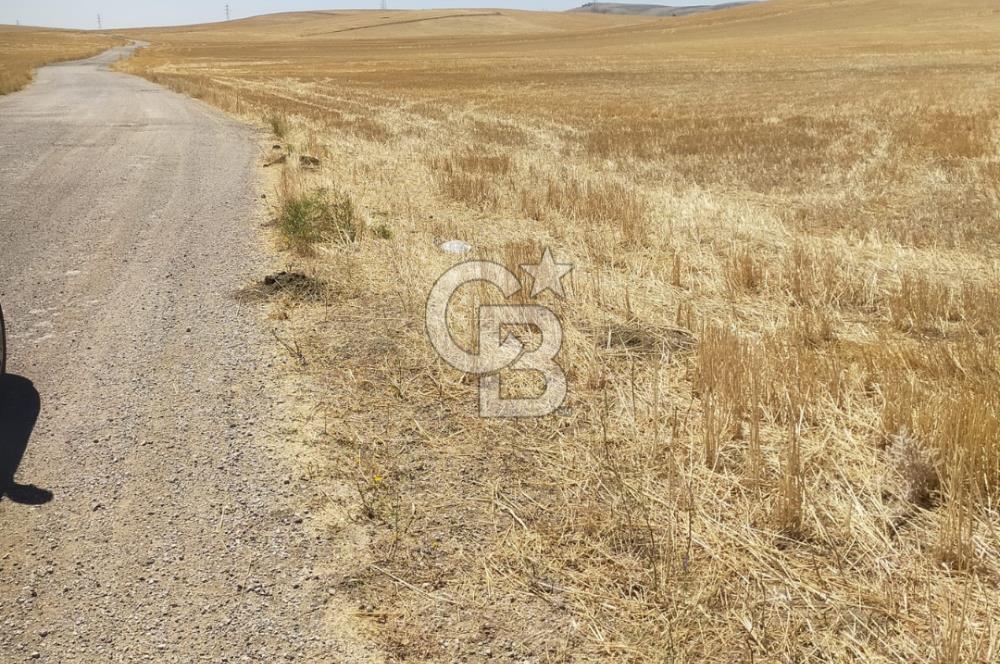 PURSAKLAR KÖSRELİK KIZIĞI KOOPERATİF HİSSESİ SATILIK