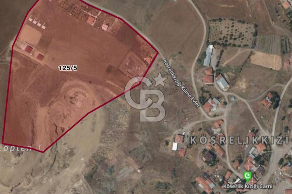 ANKARA PURSAKLAR KÖSRELİK KIZIĞI KOOPERATİF HİSSESİ SATILIK