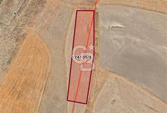 ANKARA GÖLBAŞINDA MAHMATLIBAHÇE DE 1646 M2 SATILIK TARLA
