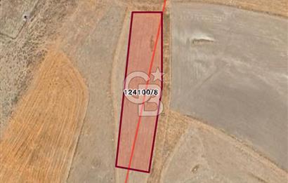ANKARA GÖLBAŞINDA MAHMATLIBAHÇE DE 1646 M2 SATILIK TARLA