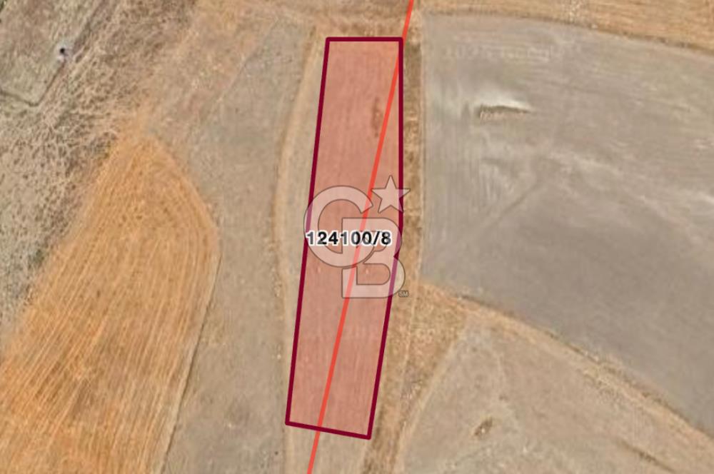 ANKARA GÖLBAŞINDA MAHMATLIBAHÇE DE 1646 M2 SATILIK TARLA
