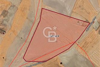 ANKARA GÖLBAŞI'DA SOĞULCAK'TA 1500 M2 SATILIK TARLA