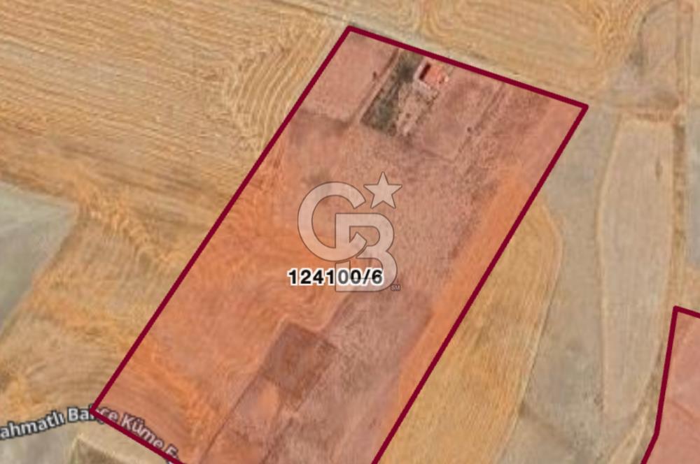 ANKARA GÖLBAŞINDA MAHMATLIBAHÇE DE SATILIK TARLA 5436 m2